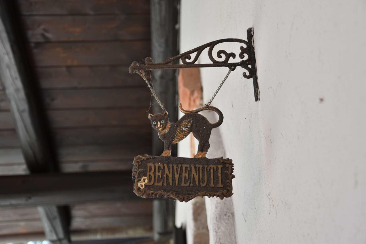 B&B La Dolce Vita Priocca ภายนอก รูปภาพ
